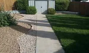 Back yard