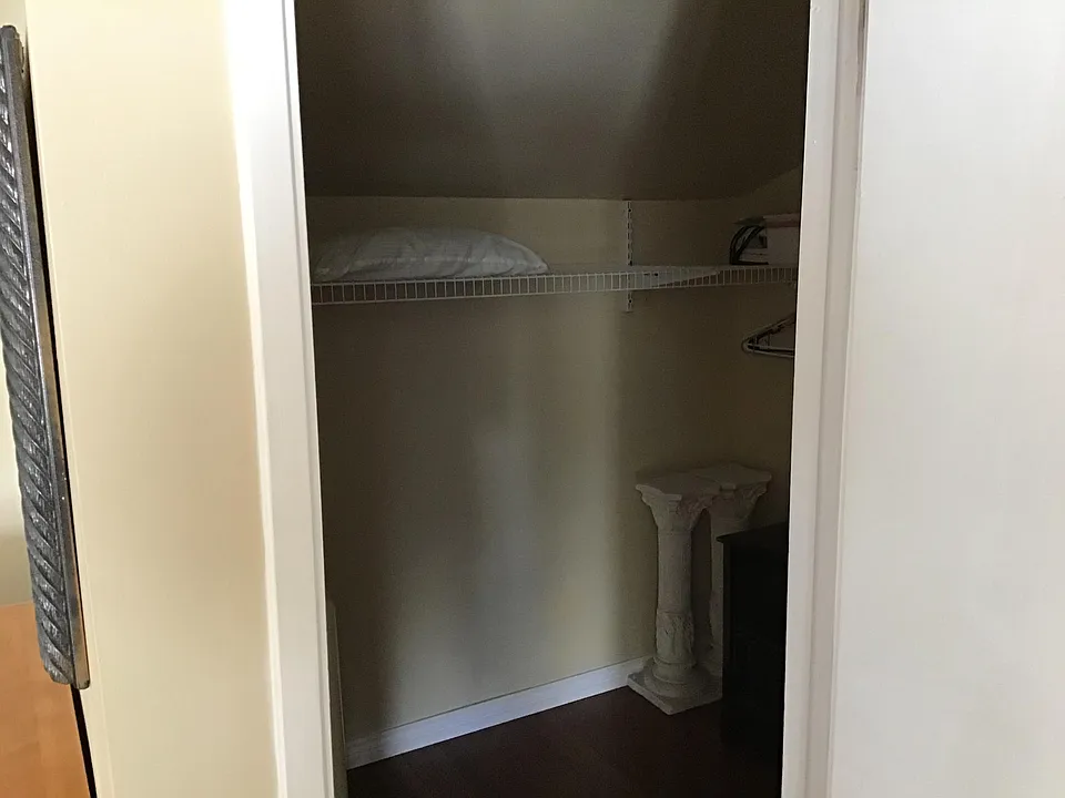 Giant walk in closet with tons of shelves in attic at the rear of closet.
