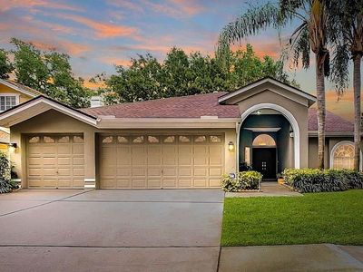 17723 Hampshire Oak Dr, Tampa, FL, 33647