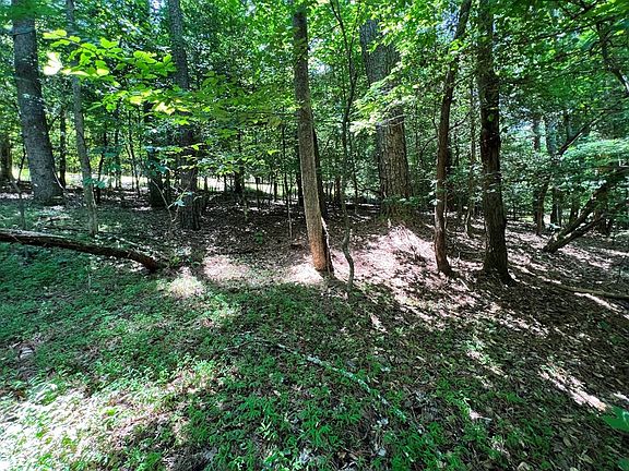 2nd image of LOT-366R Joliet Dr
