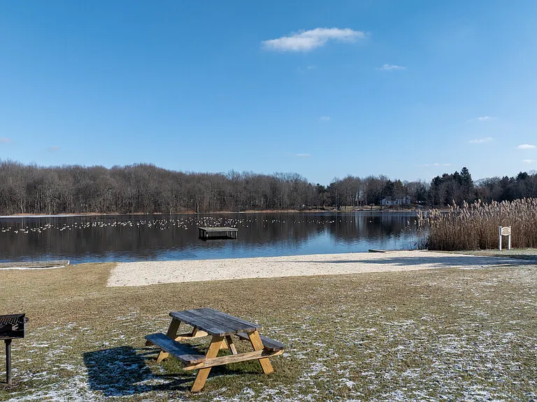 Foxtail Glen on White Pond — Photo 6