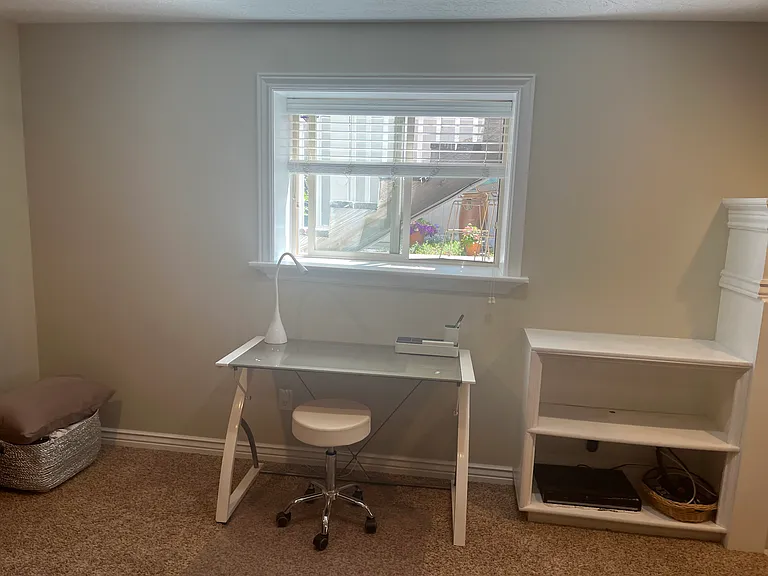 486 E Aspen Meadows Ct #BASEMENT — Photo 6