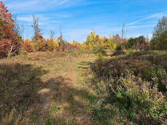 4th image of Lot 0050 Johnson Hill  Road