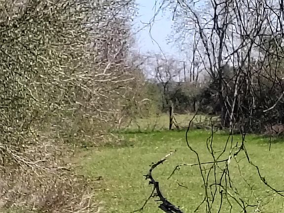 3rd image of Brumlow Rd