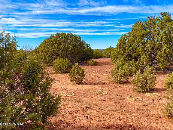 3rd image of County Road 8271 Lot 10
