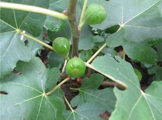 115 Ridgewood Rd, Middletown, CT 06457