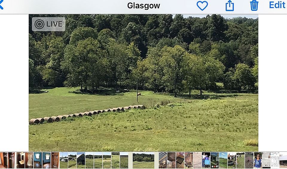 Beautiful home/farm 35 acres