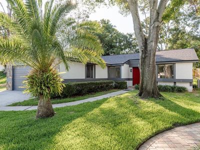 399 Walnut Ct, Palm Harbor, FL, 34683