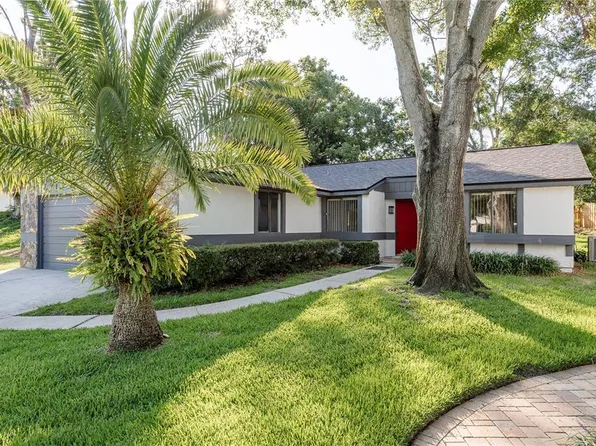 399 Walnut Ct, Palm Harbor, FL 34683