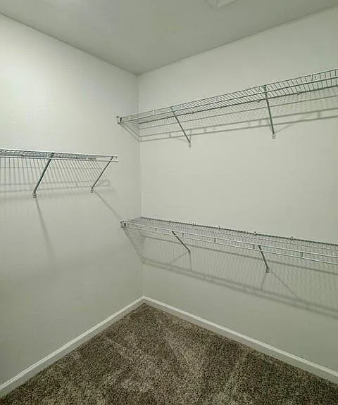 27899 Radiant Ct — Photo 10