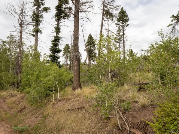 Lot 2571 Andes Loop LOT 2571, Fort Garland, CO 81133