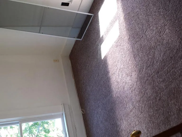 906 Vine St — Photo 16