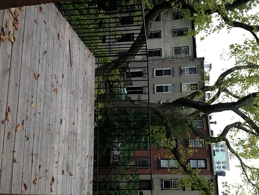 Rented by Corcoran | media 23