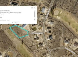 301 Parkchester Bay, Spring Creek, NV 89815