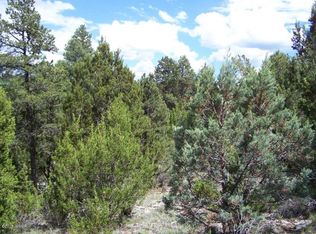 2252 Double Bogey Way, Overgaard, AZ 85933