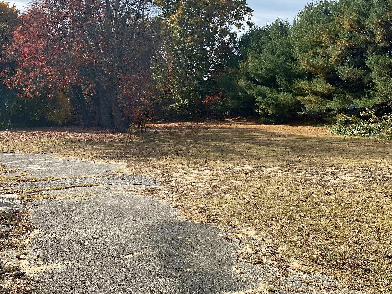 3 bed, 1167 sqft, $2,200 — Photo 3