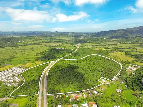 Bo Maizales Calle Borges Final, Naguabo, PR 00718