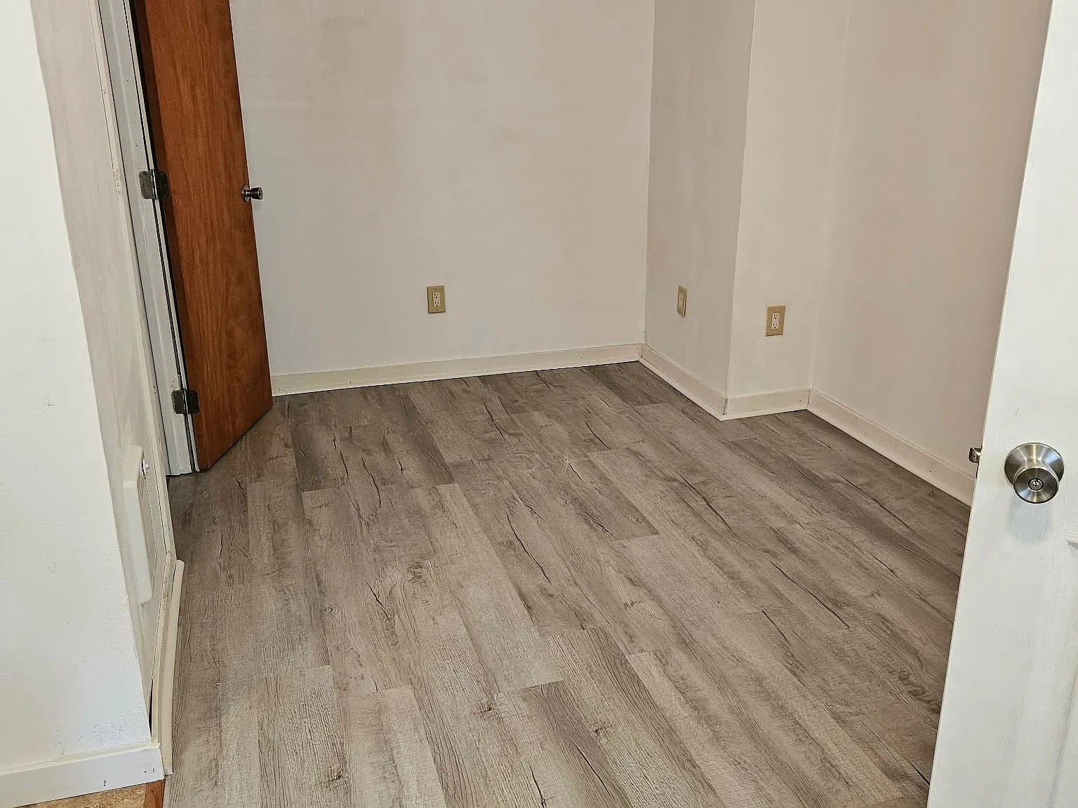 1 bed, $850 — Photo 3