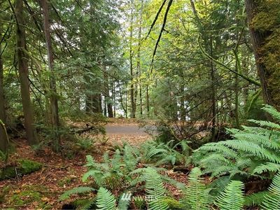 0 xx NE North Shore Road, Tahuya, WA, 98588
