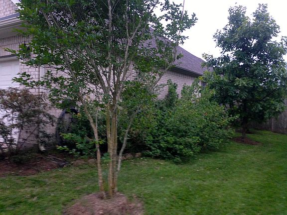 4th image of 1221 Torchwood Dr