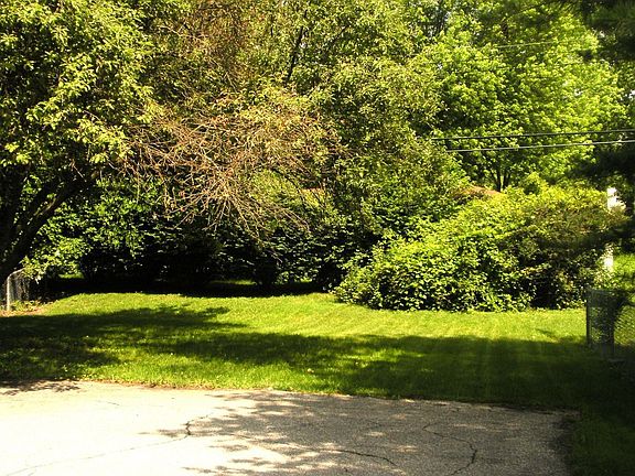 Nice Yard!