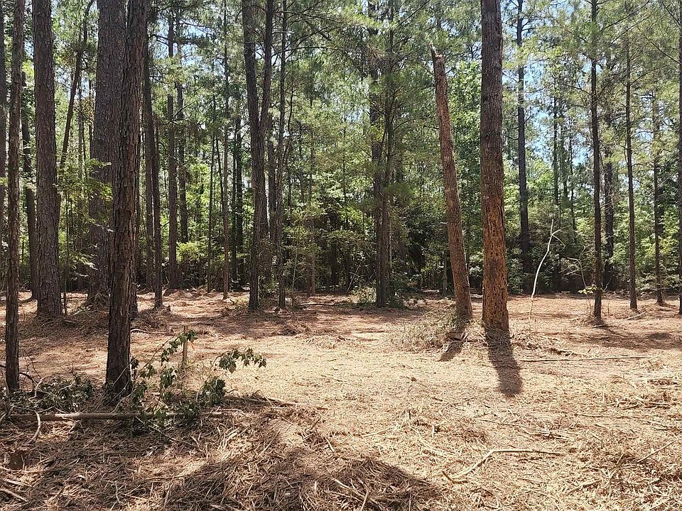 297 Sweetgum Brookeland TX Zillow