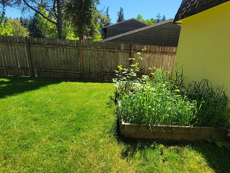 Back yard 2nd angle