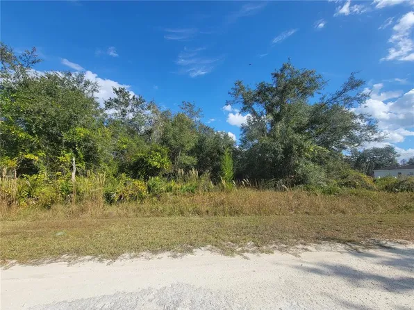 9460 Rousseau St Lot 5, Webster, FL 33597