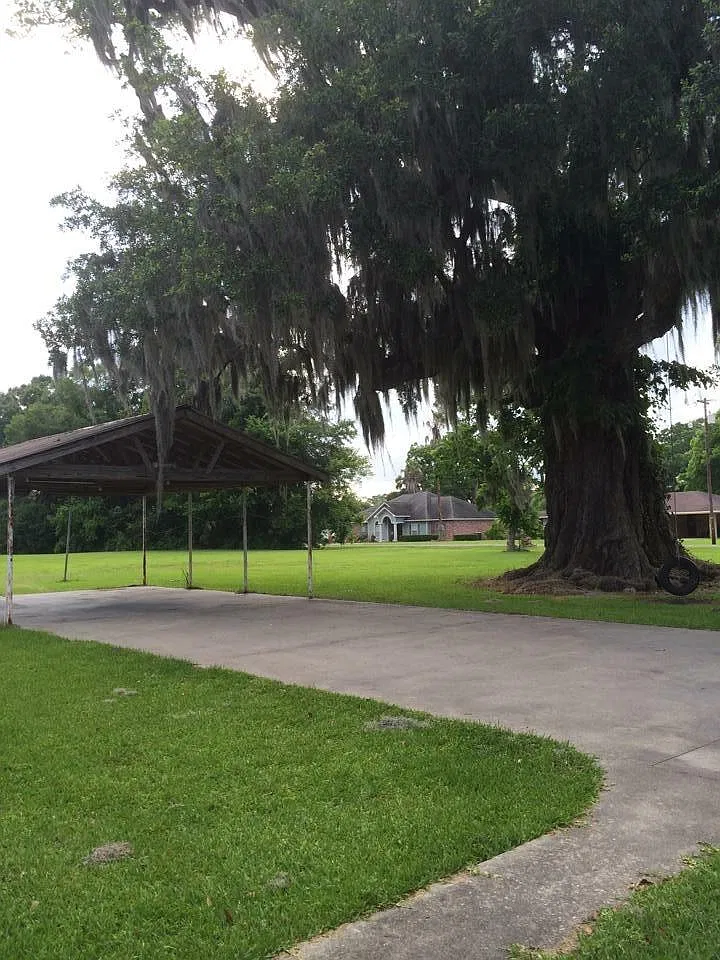 2 bed, 1100 sqft, $1,200 — Photo 4
