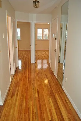 Rented by Welcome Home Real Estate | media 25