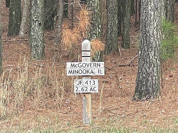 3rd image of 0 Crockett Pointe Lot 413