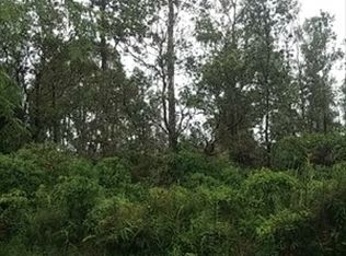 G Road, Mountain View, HI 96771