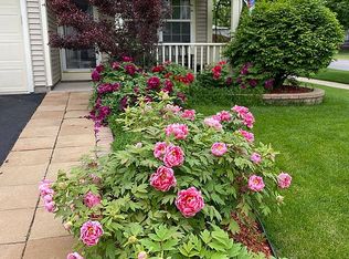 2503 Eldorado Ln, Naperville, IL