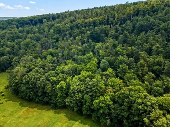 00 Hurricane Road #Backland, Westmoreland, NH 03467