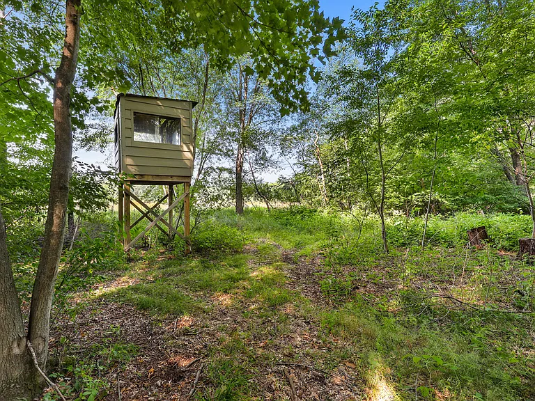 3755 Bunker Lake Blvd NE — Photo 4