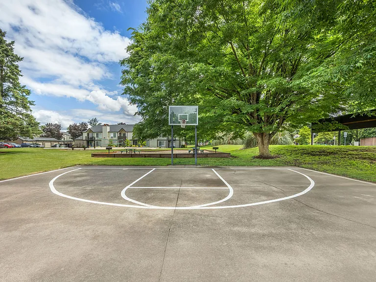 Outdoor Basketball Court
