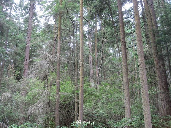 4th image of 0 Lot 13 Parker Woods