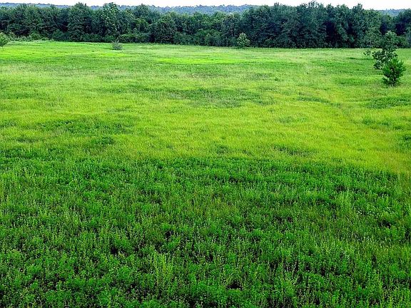 4th image of LOT 2 Mineral Springs Rd
