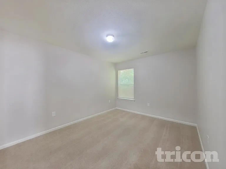 4614 Christenbury Hills Ln — Photo 12