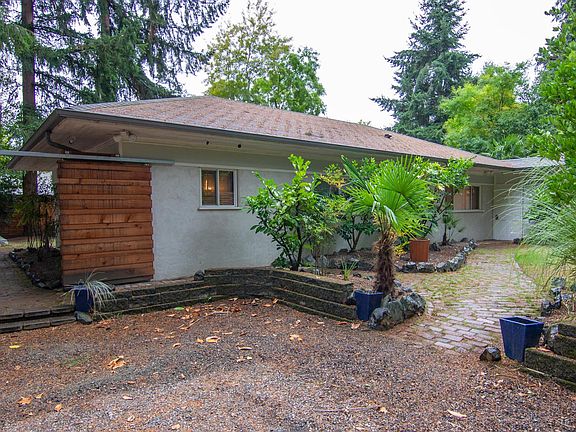 Gate To Yard - Driveway