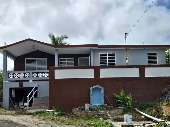 (undisclosed Address), OROCOVIS, PR 00720