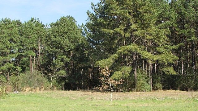 1st image of 698 County Road 3822