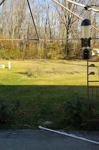 4315 Forestview Ct #1 — Photo 21
