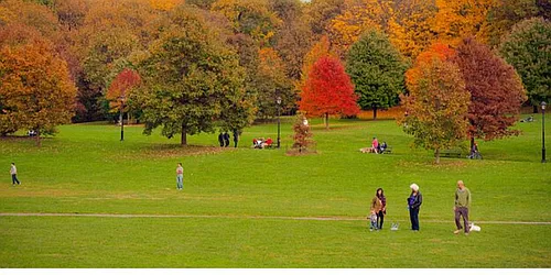 Rented by Empire Valley