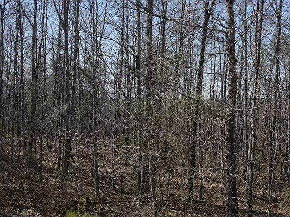 4th image of 0 Mockingbird Ln Lot 286