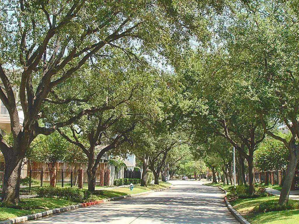 2 bed, 1.0 bath, 802 sqft, $1,500 — Photo 2