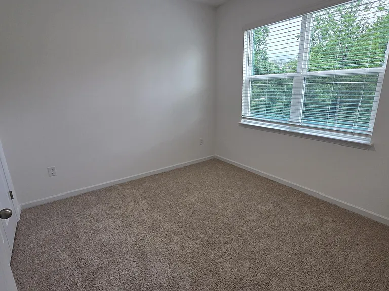 803 Lucky Clover Way — Photo 11