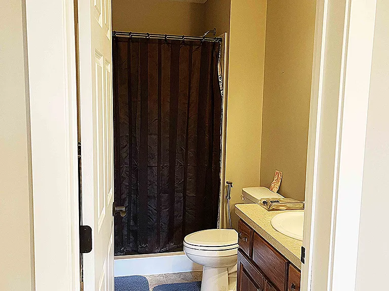 Basement Full Bath with Standing Shower