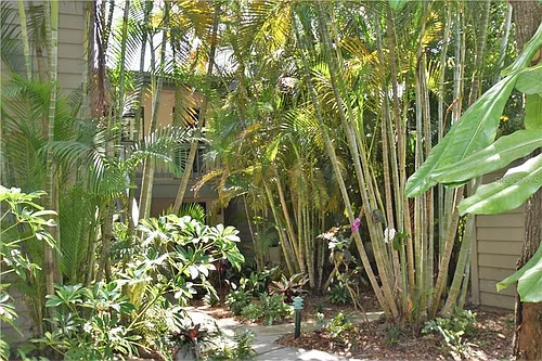 1508 Pelican Cove Rd #GR232 Photo 1