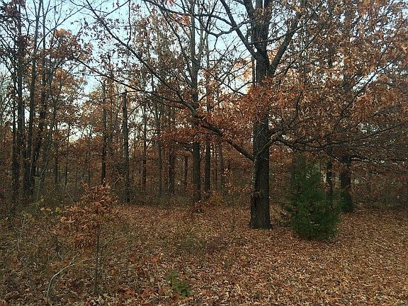 Fall view from road